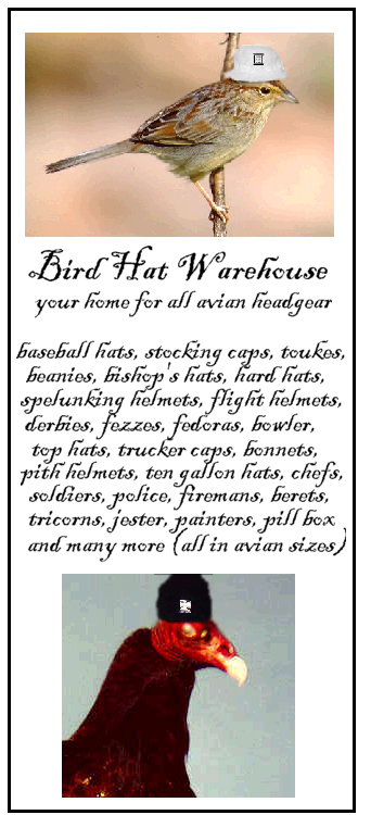 Birds Hat Warehouse