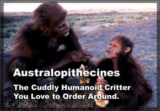 Australopithecines
