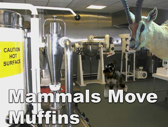 Mammals and Muffins