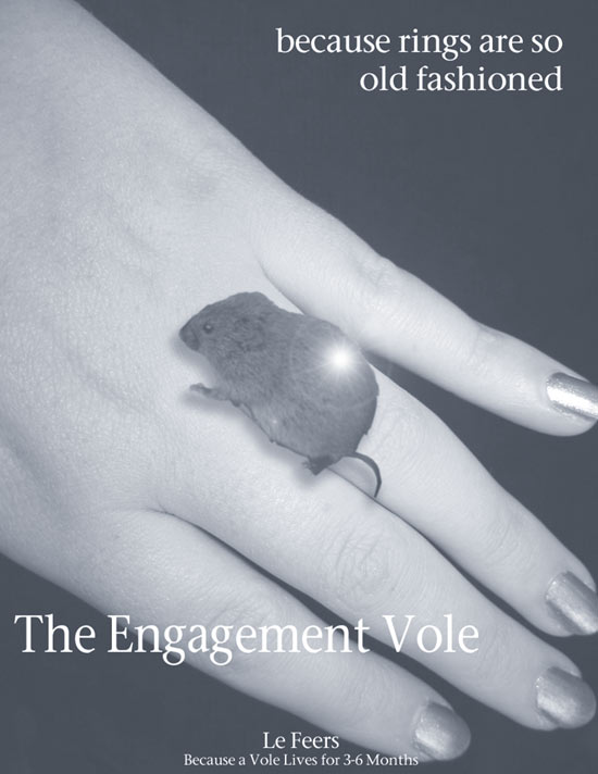 engagement vole